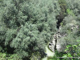 Gole della Cantera